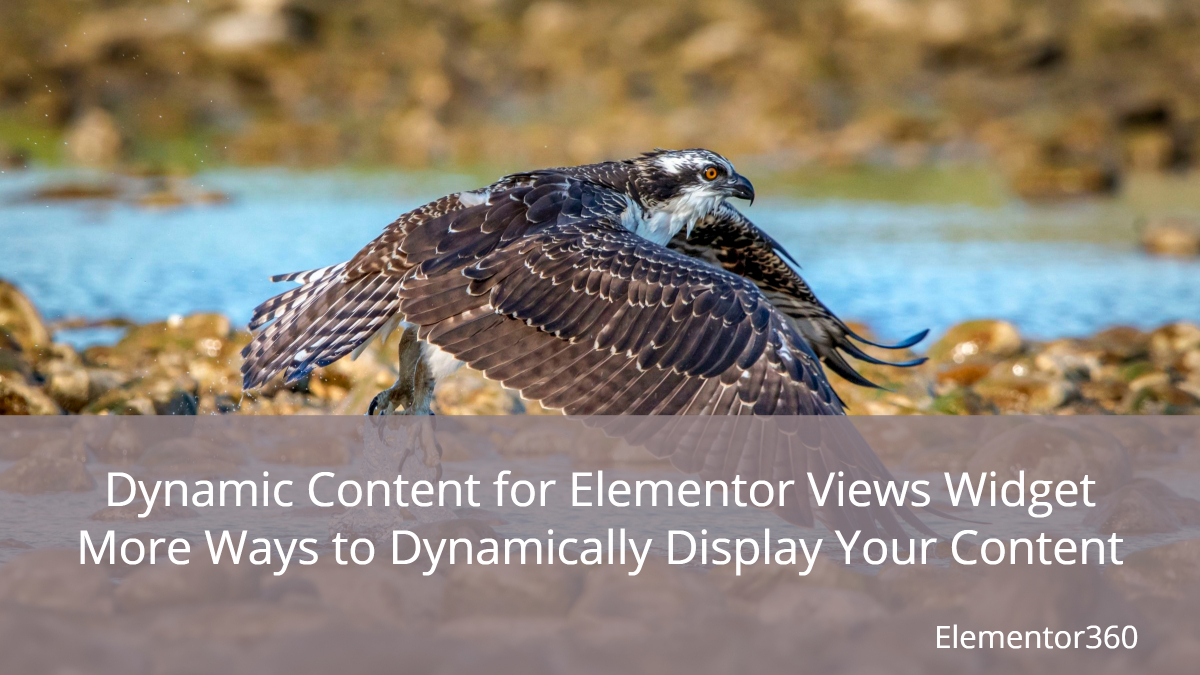 elementor360's tweet image. With the Dynamic Content for Elementor Views widget you can create field lists, custom HTML output, or powerful template displays using the WordPress loop

e360.co/dynamic-conten…

#wordpress #dynamiccontentforelementor
