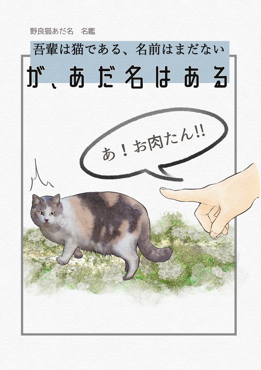 野良猫についあだ名つけちゃいます
そんな名鑑があったらええな〜って思って捜したけど、見当たらず…
出版のお声かけて頂けたら是非描きたいです? 