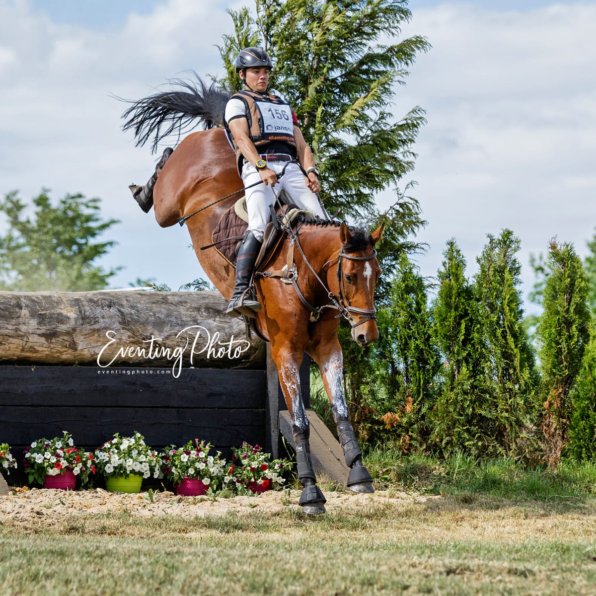 eventingphoto's tweet photo. The typical just do it moment #horsephotography #lockdown #canon #eventing #sportsphoto https://t.co/hUm9f7Qwkr