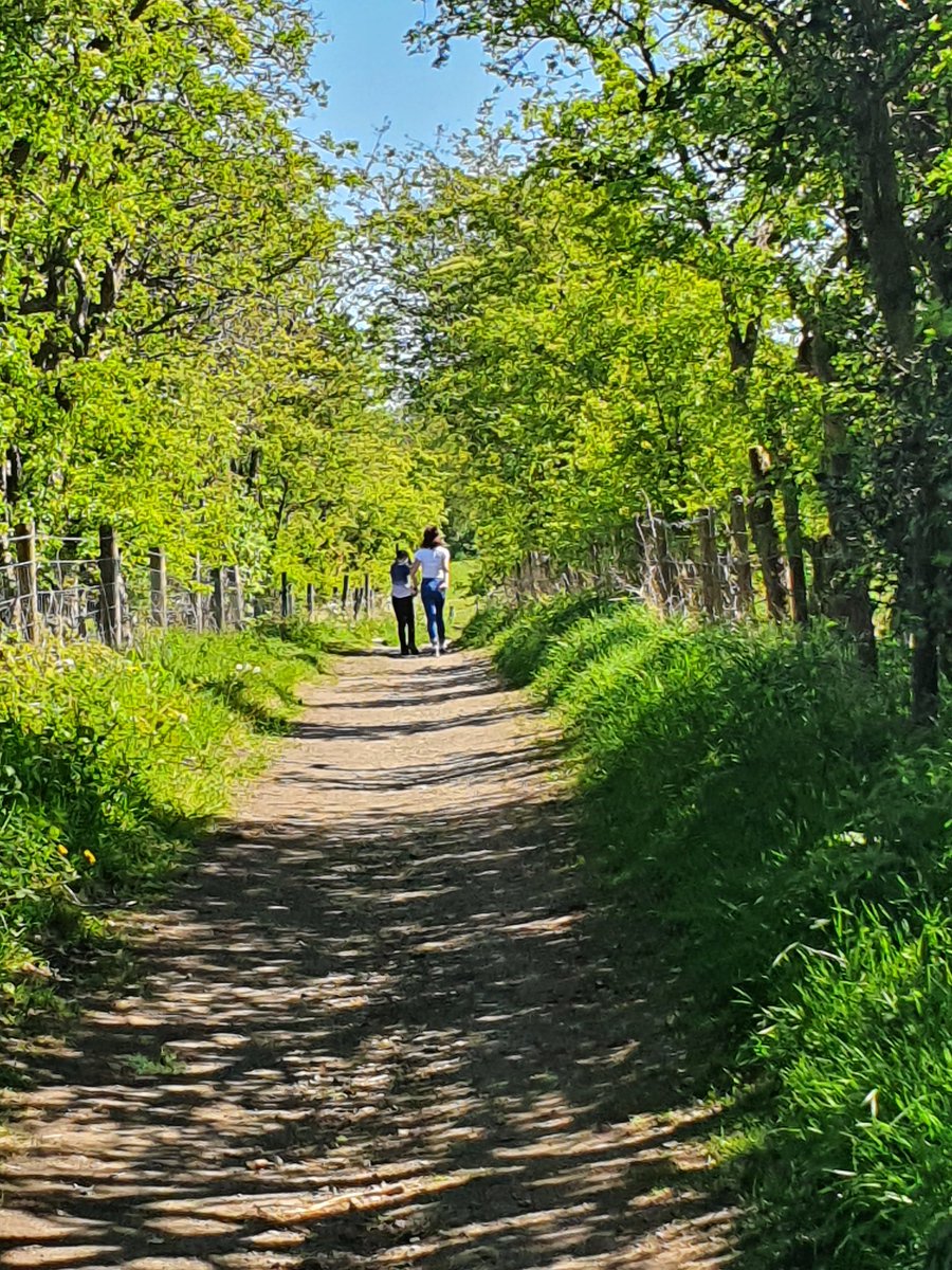 BecciMDrake's tweet image. Day 3 of the children's #2point6challenge raising funds for @maggiesoldham with @Antoniadiggle @HelenHaigh7