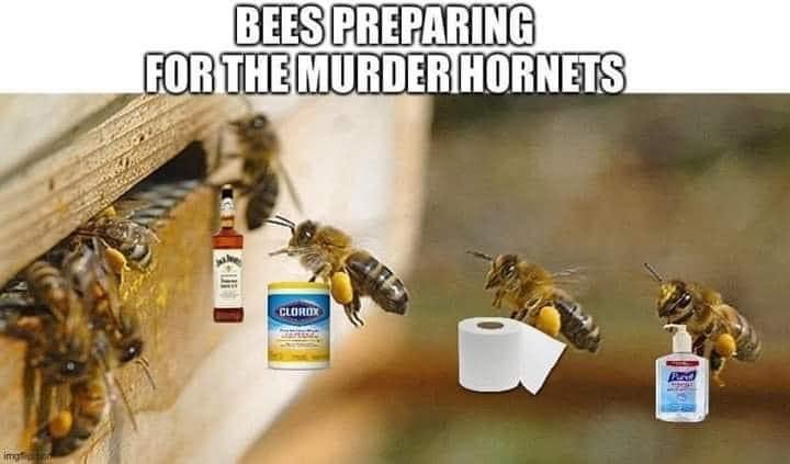 🐝