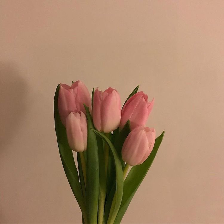 xxhani__'s tweet image. บ้านใครแดดเข้าไม่ถึงแนะนำแอพใส่แดด รูปดูมีอะไรขึ้นมาเลย แสงจ้มๆแบบแดดตอนเย็นๆ🌤 แอพ Avatan 🌷