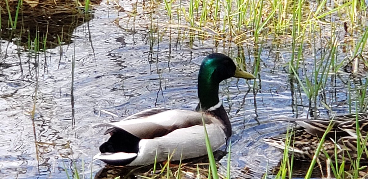DomeyNorma's tweet photo. Now, during #MentalHealthWeek, more than ever we need to #GetReal about our #MentalHealth !!!
I'm enjoying nature while maintaining social distancing ...
What are YOU DOING for your mental Health ?
#PIPSC #IPFPC https://t.co/jUymXg7Mbw
