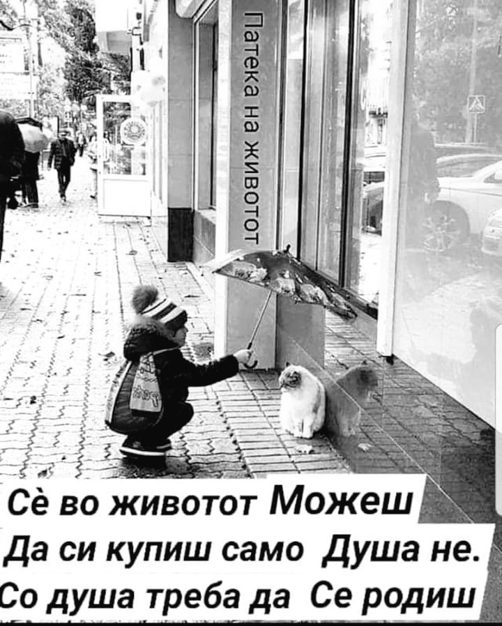 Тетка Биберче (@t_biberce) on Twitter photo 