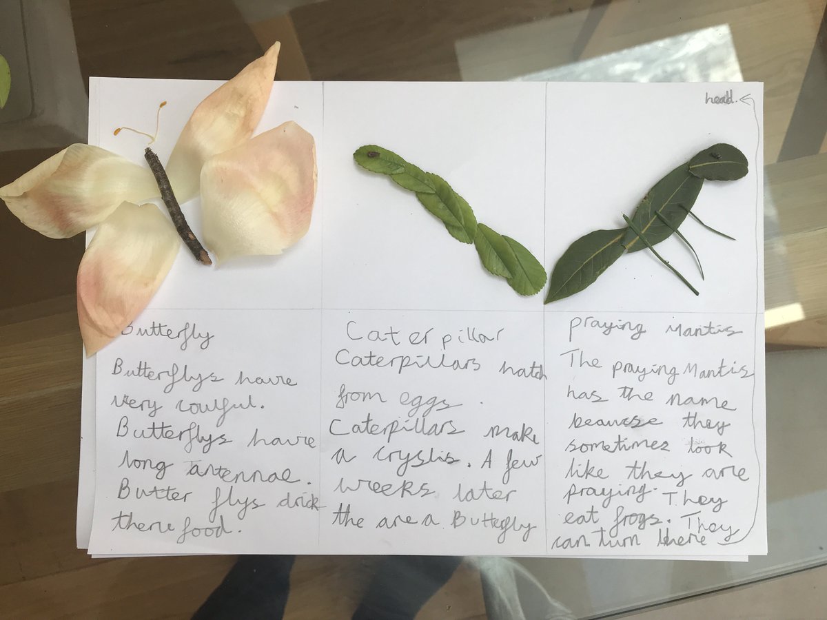 OHPSchool's tweet photo. Imaginative insects made from natural objects  - created by some of Year 1 girls! #guidedhomelearning #nature #outdoorlearning #futureready #OHS #GDST #GDSTgirls #girlseducation #year1 https://t.co/DGLHpUDKmE