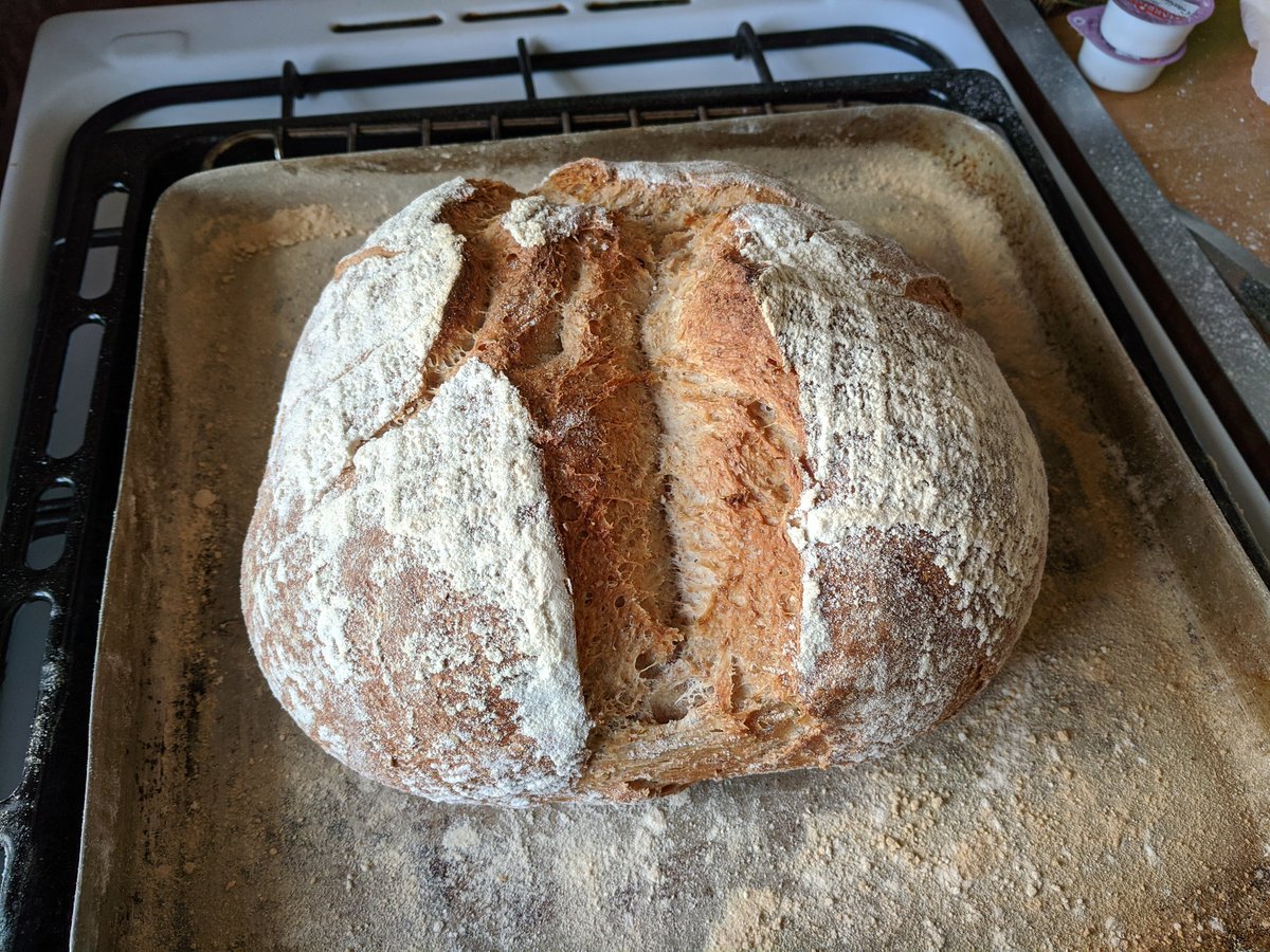 Folkpersons's tweet image. Left, 30/70 wholemeal/white, raised for 3, knocked back, raised for 6. 

On the right, 20/50/30 rye/wholemeal/white. 3 hours, knocked back, raised overnight in the fridge (12 hour rise). 

Both sourdough. #breadanalysis