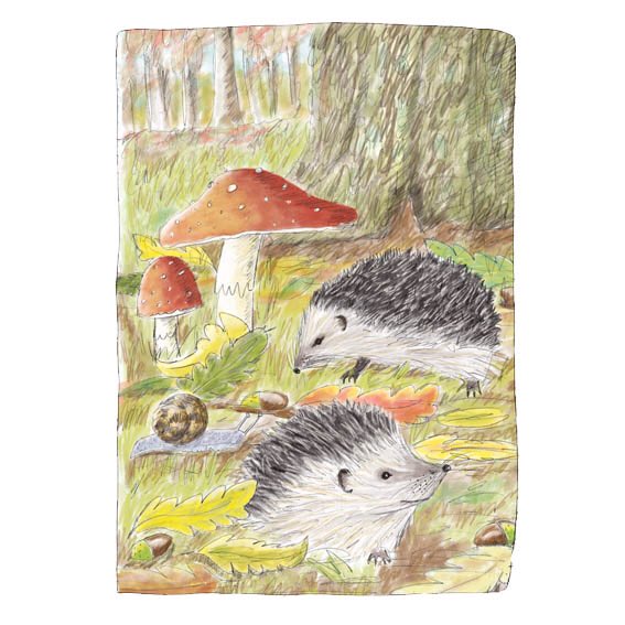 ThisIsPip's tweet photo. Happy Hedgehog Awareness Week! #naturelovers #hedgehogawarenessweek #wildlifeillustration #hedgehogs #bhps #wildlifeart #wildlifeartist https://t.co/0zf8YUmmsY