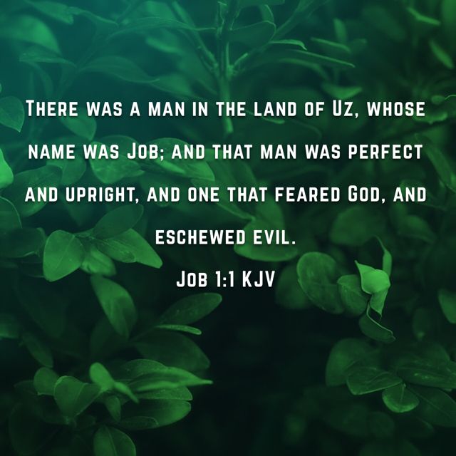CandaceBushSmi1's tweet image. Charter Communications @GetSpectrum has the State of Texas returned 6 digit uncashed escheat funds? Job eschewed evil Job 1:1 KJV. 

#StateAdministration #Unemployment #GubernatorialExperienceTest