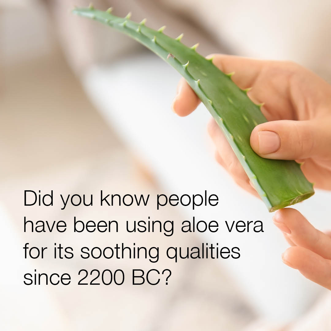 ForeverGlobalHQ's tweet photo. We know aloe vera is great for soothing your skin, so that's why we combined it with other natural and scientifically advanced ingredients to create revolutionary skincare formulas proven to provide results! Check out our skincare products on https://t.co/ag0hb6ZqsK. https://t.co/UGbC8ycaS1