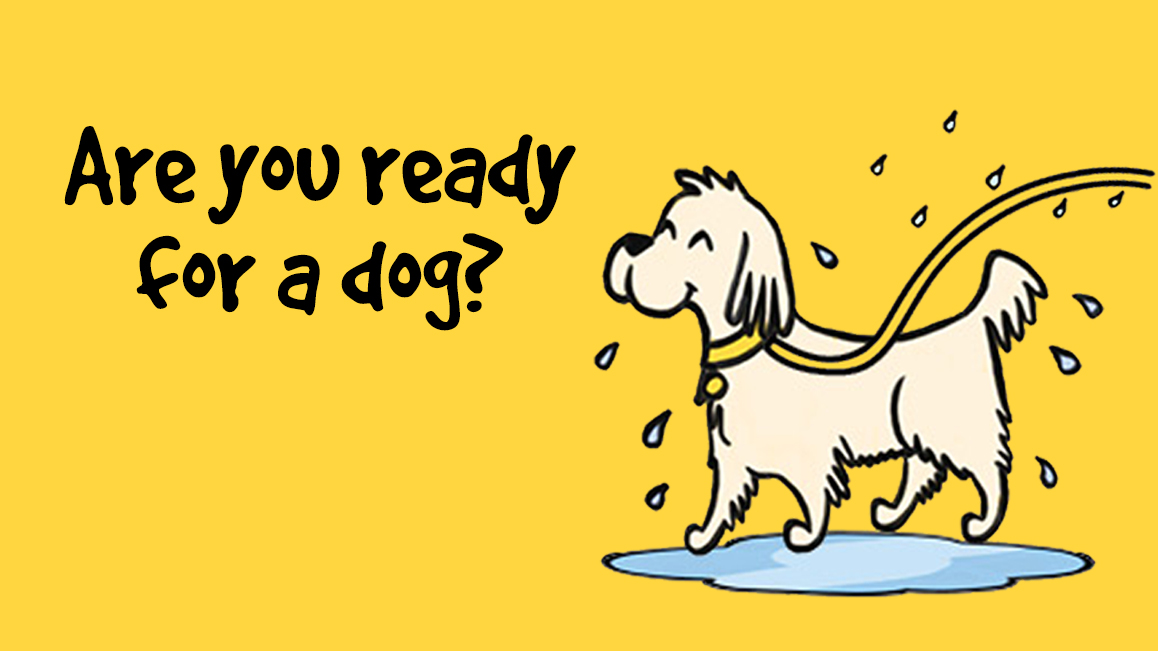 DogsTrust's tweet photo. #ADogIsForLife®, not just for lockdown! Owning a dog is amazing, but it's also a huge responsibility. 

Are you ready:
✔️ for walks in all weather
✔️ to spend £££s every month
✔️ to devote time to training &amp; games
Take our quiz &amp; check out our advice: https://t.co/qwPsSFViDm 🐾 https://t.co/v0Zao1SNcY