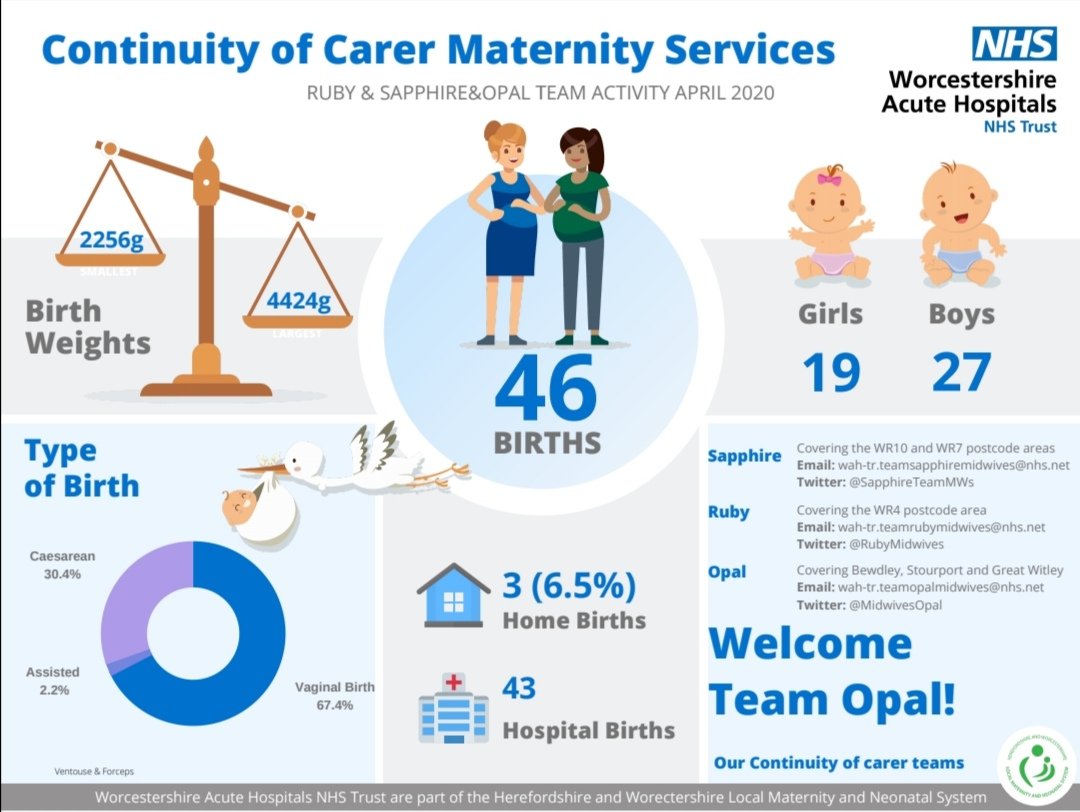Opal Team Midwives tweet media