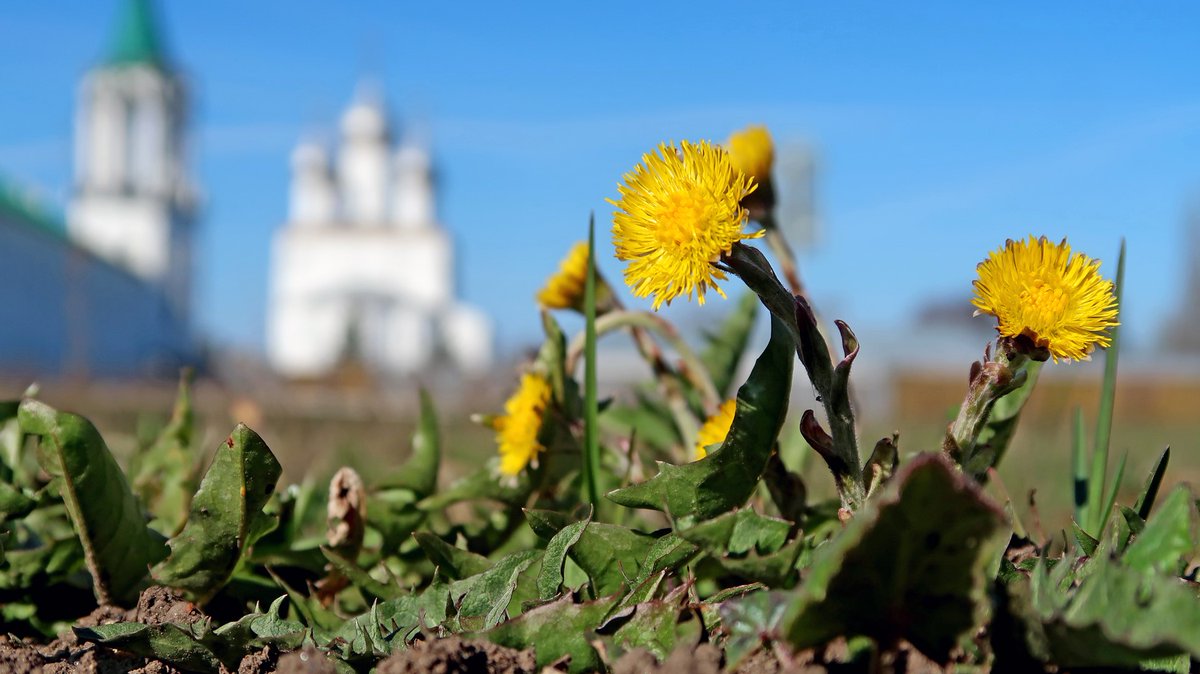 RostovGreat's tweet photo. #РостовВеликий  #photo Валерий Абрамов https://t.co/CIIzvayVsa