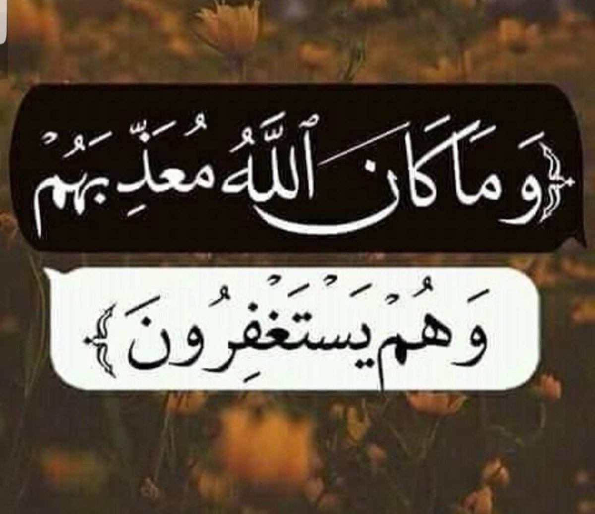trook_200_2's tweet photo. #وكان_الله_للمستغفرين_غفورا https://t.co/e5OOxzM4cX
