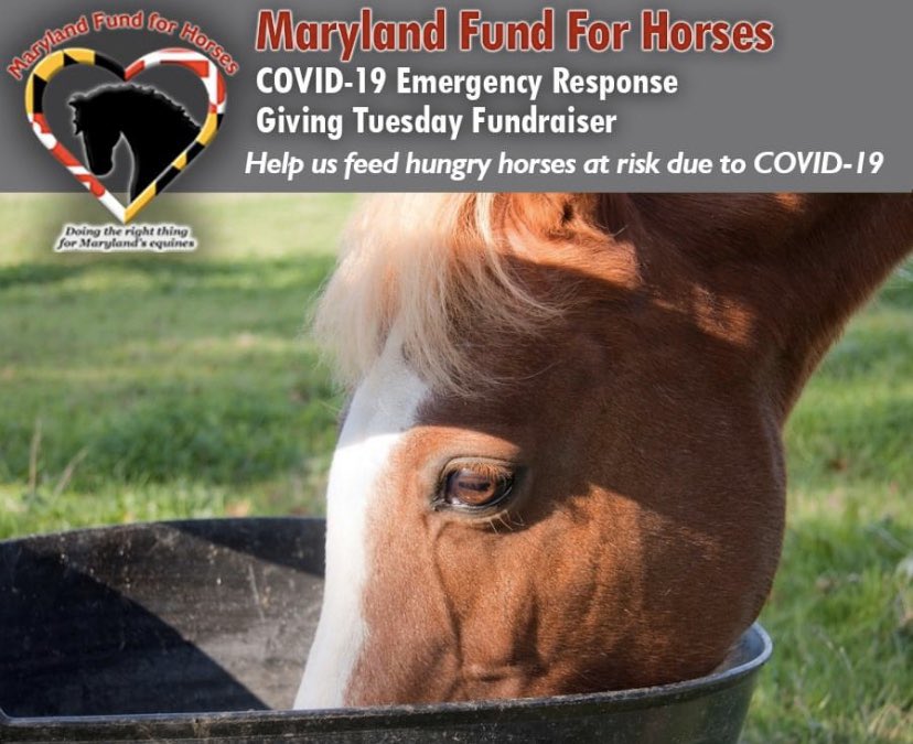 MdEquines's tweet photo. Help Maryland Fund for Horses (MFFH) provide emergency hay and feed to horses! During this crisis, MFFH have expanded care to include hay for MD Licensed lesson programs impacted by the pandemic response, but must continue to feed their horses*
https://t.co/4PJoxwyjnT https://t.co/RnaqrQXb57