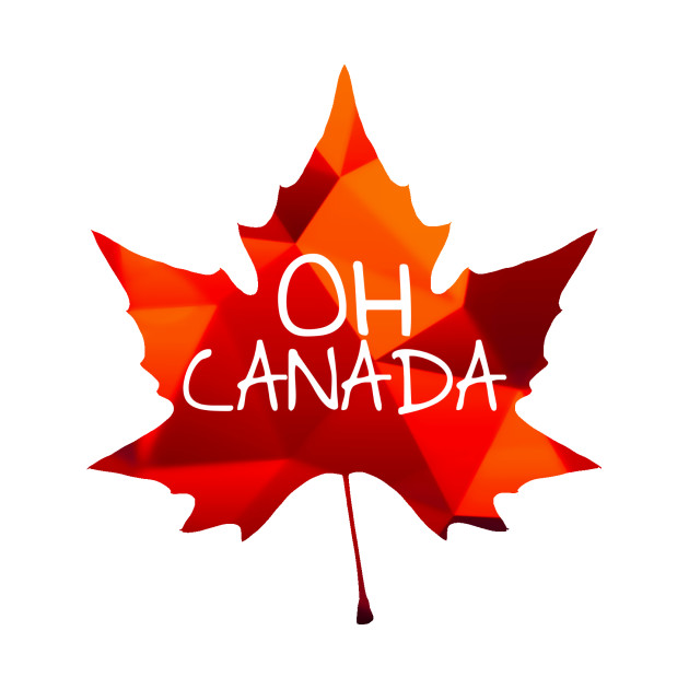 deanorhodes's tweet photo. In other news, we will be chatting this week to our friends in the Canadian Digital Academy @School_GC about what we're doing and sharing some thoughts and ideas #CoronaLearning #InternationalLearning @ScotDigAcademy #OhCanada https://t.co/nLYq6pZUOv