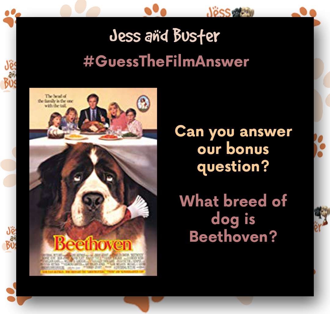 BusterJess's tweet image. Congratulations if you correctly guessed the answer to our #guessthefilm! The answer was 'Beethoven'! 

 What a brilliant family film!  📽️🎬

Can you guess the answer to our BONUS QUESTION?