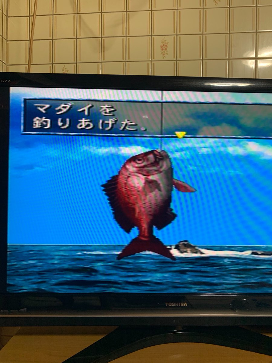 海のぬし釣り