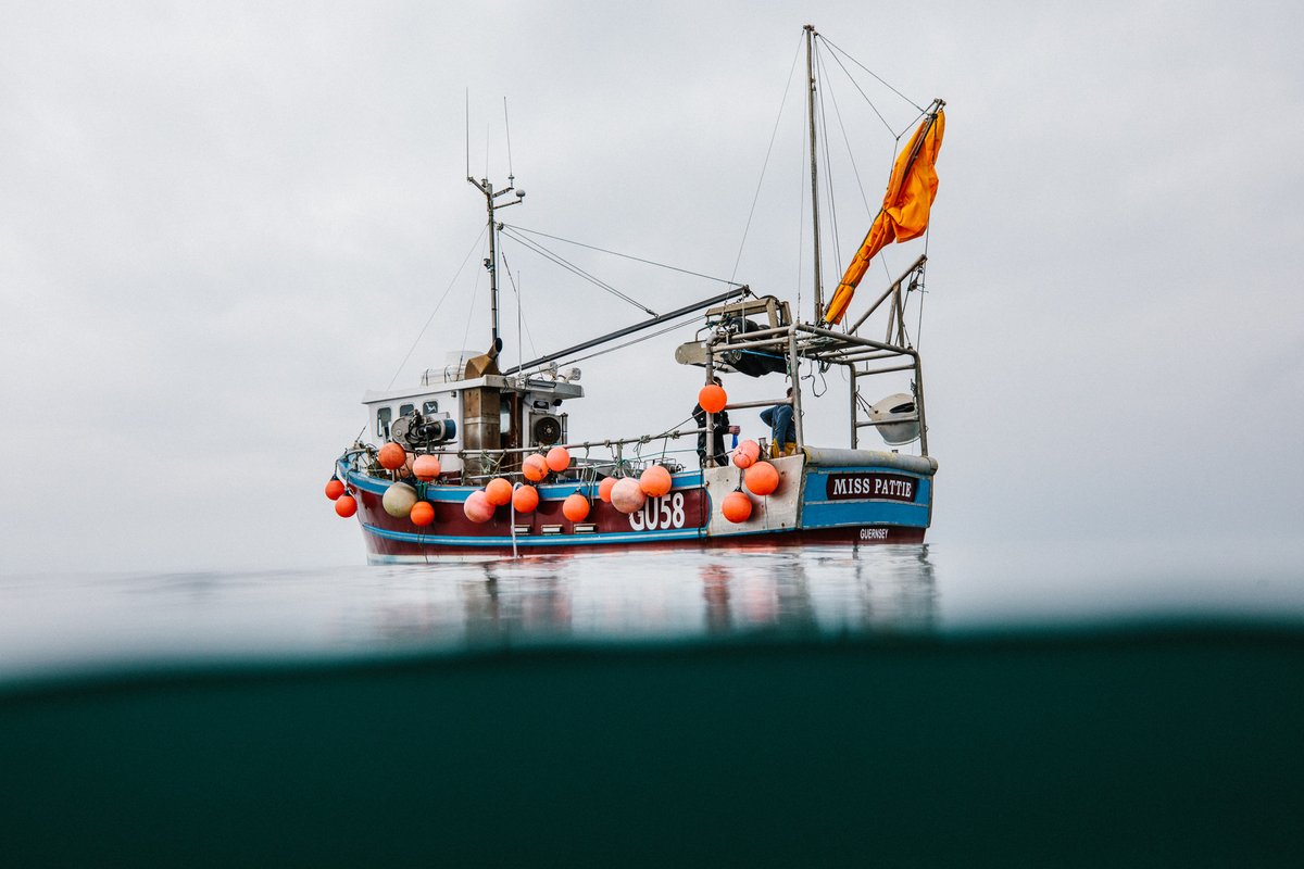 Lyme Bay Reserve (@lymebayreserve) on Twitter photo Say hello to #LymeBay scallop diver Kieran Perree 👋
Kieran is skipper of 'Miss Pattie' & owner of <a href="/GScallops/">Golden Scallops</a> who specialise in hand-dived scallops; a sustainable way to harvest this delicious seafood. They were awarded 'Silver Sustainability Award' at <a href="/DorsetSeafood/">The Dorset Seafood Festival</a> Festival 👏 Say hello to #LymeBay scallop diver Kieran Perree 👋
Kieran is skipper of 'Miss Pattie' & owner of <a href="/GScallops/">Golden Scallops</a> who specialise in hand-dived scallops; a sustainable way to harvest this delicious seafood. They were awarded 'Silver Sustainability Award' at <a href="/DorsetSeafood/">The Dorset Seafood Festival</a> Festival 👏