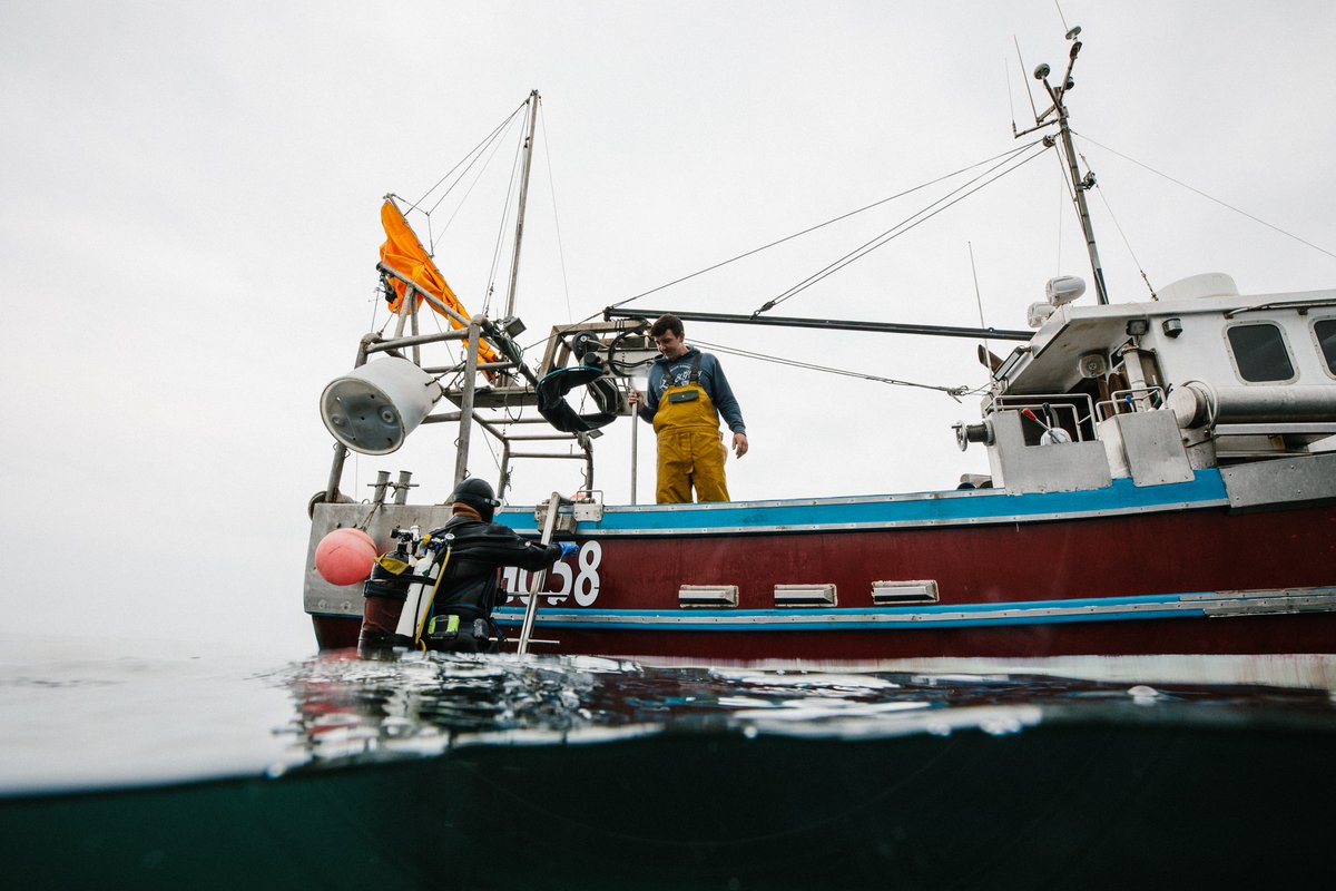 LymeBayReserve's tweet photo. Say hello to #LymeBay scallop diver Kieran Perree 👋

Kieran is skipper of 'Miss Pattie' &amp; owner of @GScallops who specialise in hand-dived scallops; a sustainable way to harvest this delicious seafood. They were awarded 'Silver Sustainability Award' at @DorsetSeafood Festival 👏 https://t.co/wuyAFJD3VK