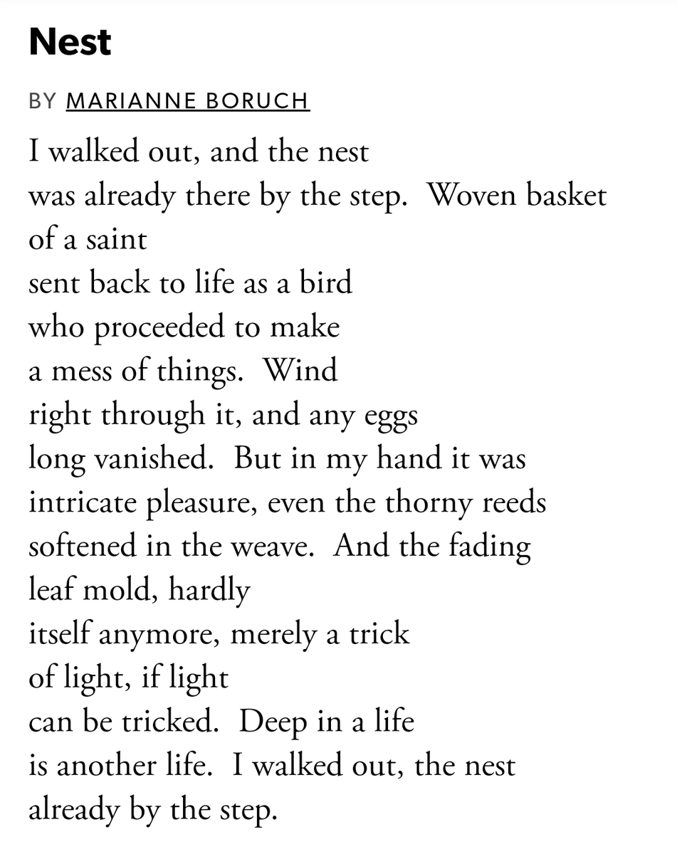 #SpringAThon Day 03: Nest
<a href="/spring_thon/">SpringAThon</a>