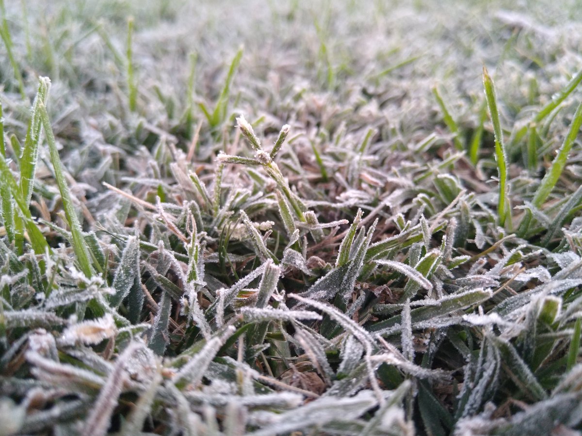 Se inaguró la temporada de heladas. 
La primera #helada del año 2020 en Berrotarán-Cba
🌡️ Temperatura mínima de hoy -2,7°C a las 07:45Hs. 
<a href="/GrupoRadarCBA/">Grupo Radar Córdoba (GRC)</a> <a href="/leodebenedictis/">Leo De Benedictis</a> <a href="/Agroverdad/">Agroverdad</a> @Agrovoz