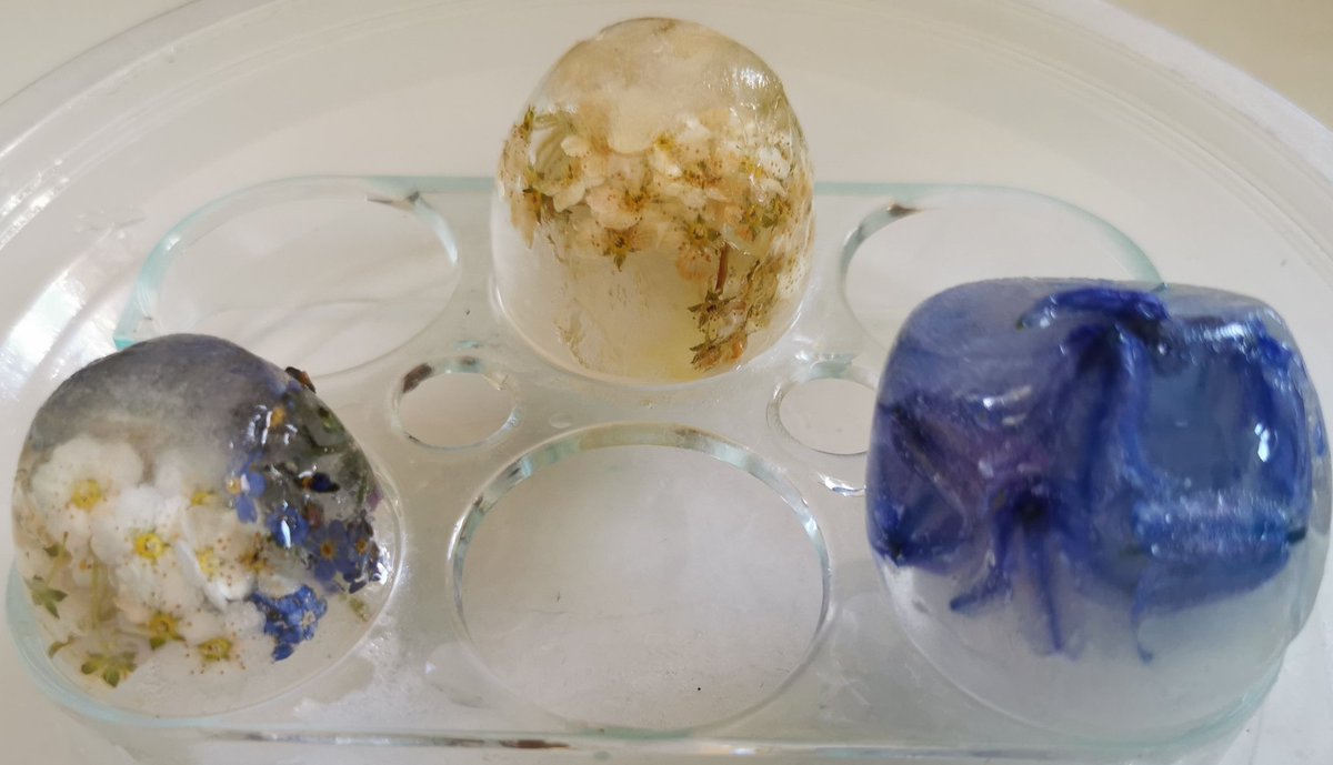 SammySmall's tweet photo. @FallingsParkPri We did ice eggs and egg shaped jelly. We couldn't get the jelly out of the mould without breaking it, so froze it and even though it had a different texture, it tasted nice. This got us thinking about freezing other liquids... Results to follow. 😁 #FPScienceWeek https://t.co/EyyGCQ8jX7