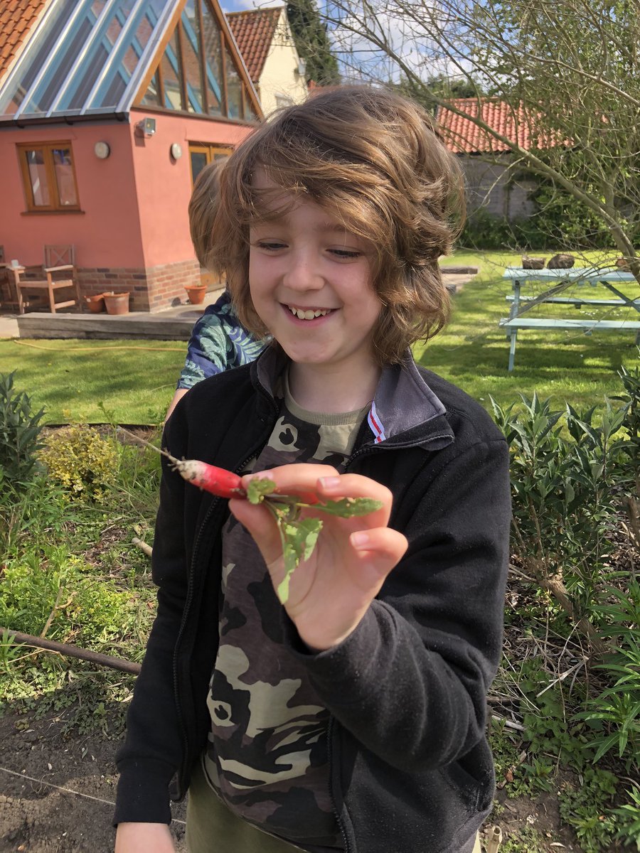 idemangeat's tweet photo. @CedarClassY6 One of our garden art people really needs a haircut, just like everyone else in the house! We have radishes to eat! https://t.co/QLilYtZRn2