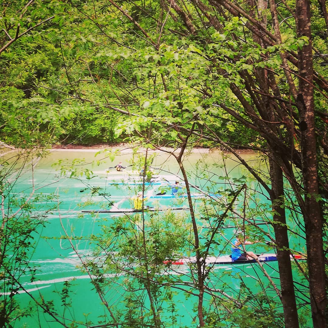TrainInParadise's tweet photo. 🌞🍀Training in Paradise is waking up, slowly but surely!🍀🌞
📌plan your visit for when this is all over soon
#TiP #traininginparadise #ICF #ICFsprint
#paddleprecision https://t.co/cJbRW5AmJw