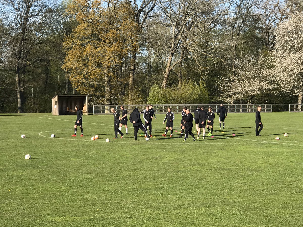 Tisdagsträning på Hellehof. Ett gäng pigga pöjkar som ville springa av sig en stund. 💚❤️💚❤️