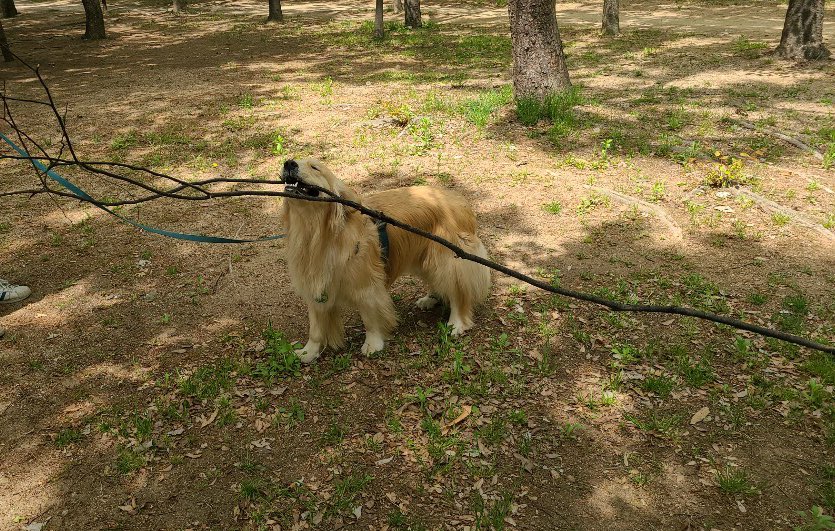 내친구네 멈머 졸귀
저거 집에 갖고가고 싶어한다
ㅋㅋㅋㅋㅋㅋㅋㅋㅋㅋ
ㅋㅋㅋㅋㅋㅋㅋ야임뫜ㅋㅋㅋㅋㅋ
ㅋㅋㅋ
ㅋ
