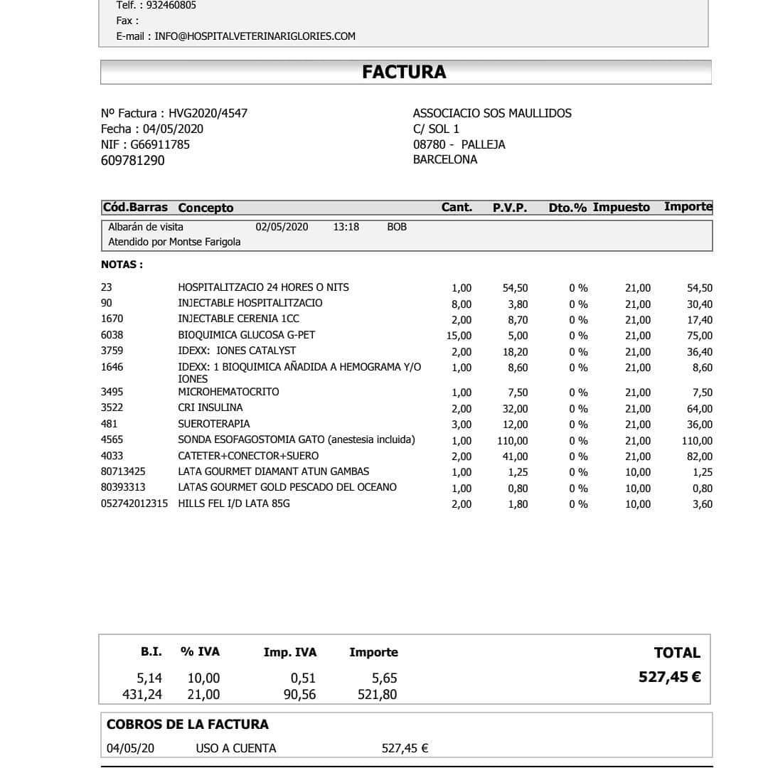 SosMaullidos's tweet image. Bob necesita ayuda,fue abandonado lo rescatamos de la calle es sordo. Ha tenido que estar ingresado x episodio diabético conintoxicación grave  x cetoacidosis.
Las facturas son altas, necesita ayuda para poder tto. Si nos puedes ayudar 🙏ES65 2100 0388 1002 0028 6069#Pallejà #BCN