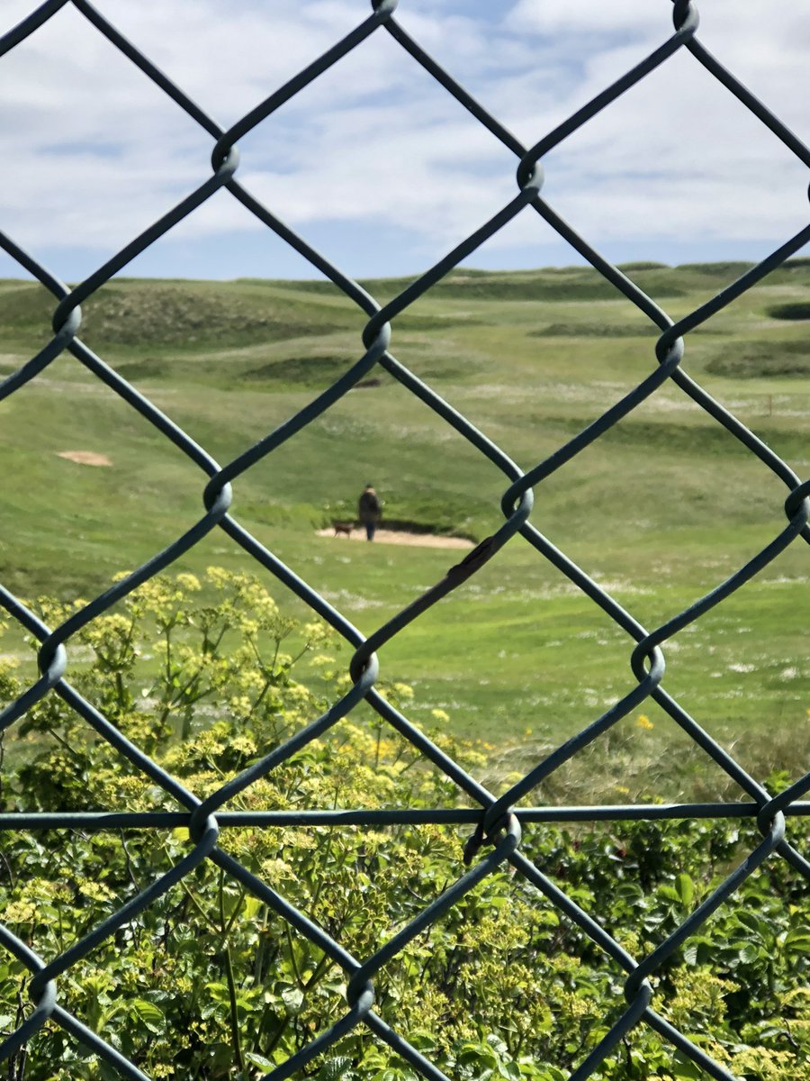 Stockerz92's tweet photo. @NewquayGC just mentioned to this cretin that if he wants to play with his dog on sand the beach is 100 yards away. #coursewatch #somefolk https://t.co/aOqqRdBJqB
