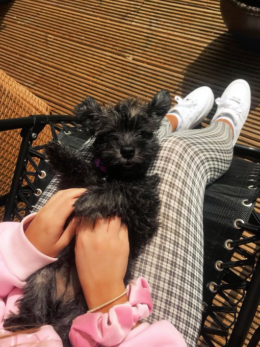 Watch clara's leaked NSFW photo on TwXstars