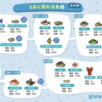 「あつ森ユーザー」必見!？５月に出現する魚 出現条件まとめ!