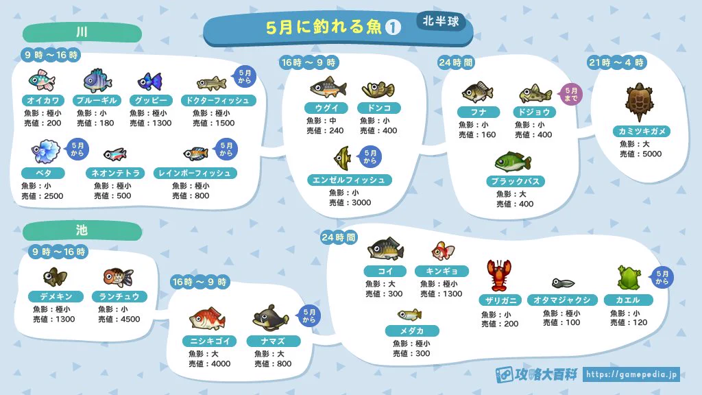 「あつ森ユーザー」必見!？５月に出現する魚 出現条件まとめ！