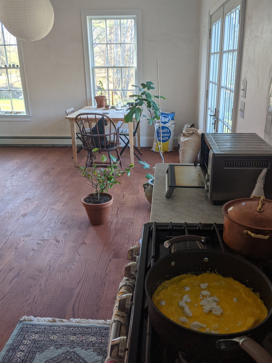 LOL now I start making omelette and he just hops in the chair and waits