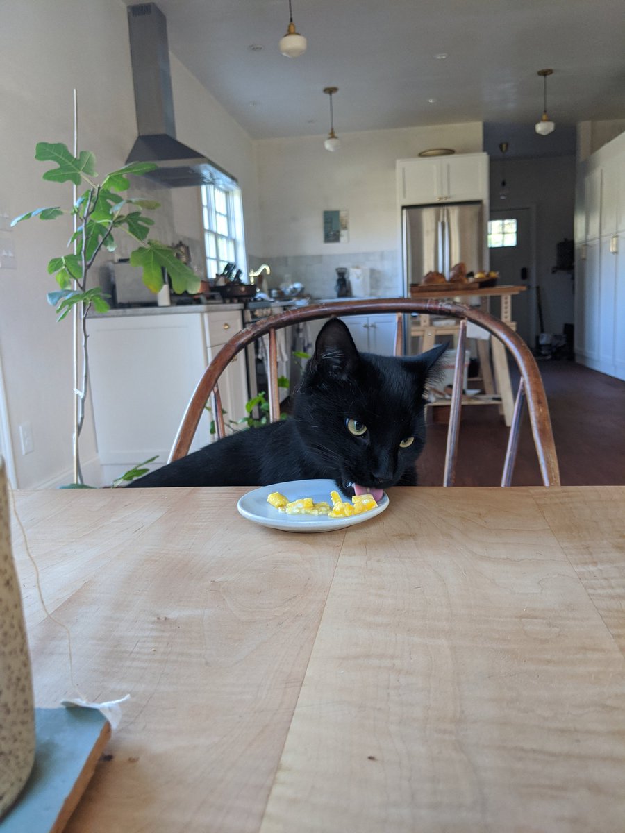 LOL now I start making omelette and he just hops in the chair and waits