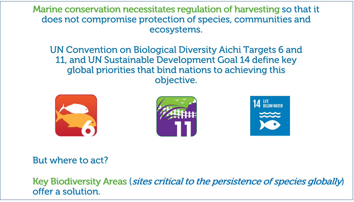 1/4 #WSTC6 #PolicySesh​|New approach for #SeabirdTracking data exists to describe nature under a single framework <a href="/KeyBiodiversity/">Key Biodiversity Areas</a> Areas and guide decision making in #MarineSpatialPlanning. Trialed by <a href="/BirdLifeMarine/">BirdLife Marine</a> #BirdLifeScience. Paper📜: tinyurl.com/y956ym9c