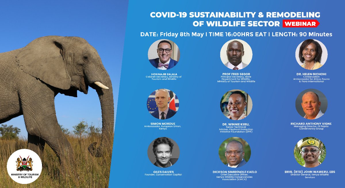 The purpose of this Webinar is to create a platform to dialogue and examine successes and failures in the wildlife sector and bring forth a conversation on the future of wildlife in Kenya post-COVID-19. ⁠

Register and join the webinar here
soo.nr/a9VV