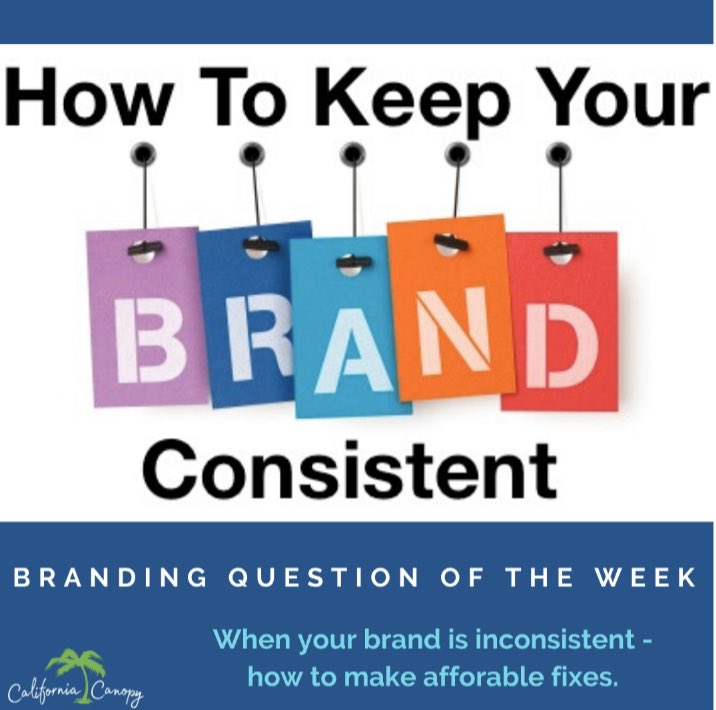 California Canopy tweet media