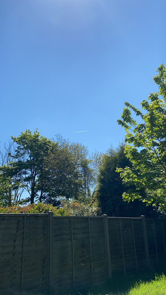 RenWarom's tweet photo. Really love how this is now a rare sight. Actually caught myself thinking “Wow! An aeroplane!”

For reference, I live under several Birmingham International flight paths. Pre-lockdown there were always planes overhead. https://t.co/W5bGgGlNIF