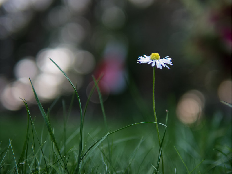 TheWater_Report's tweet photo. The #WhyNotWater campaign from @AffinityWater has added a fifth ‘ask’ to its campaign: for the water efficiency labelling of plants. The move is supported by three of the UK’s most respected national gardens – @kewgardens, @BethChattoGdns, and @RHSWisley. https://t.co/evqO8nbsYB