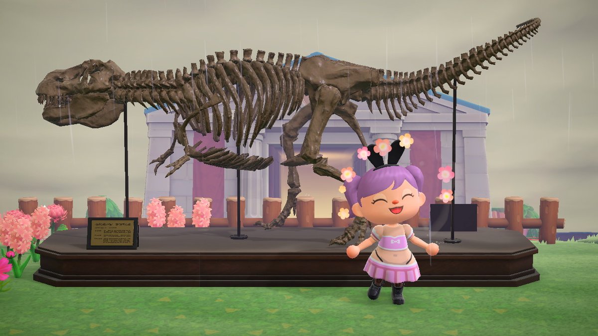 #AnimalCrossing #ACNH #NintendoSwitch