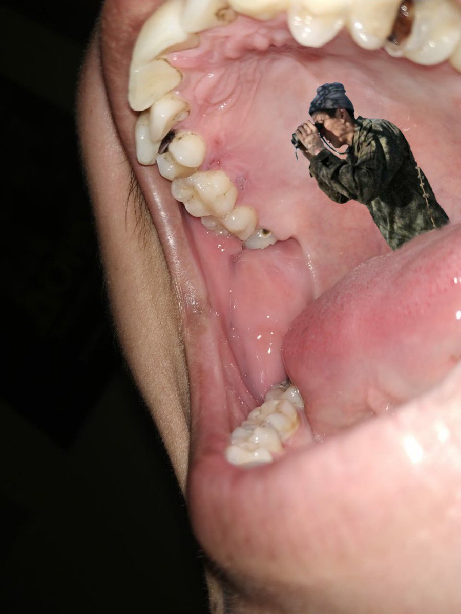 durakkos tweet media