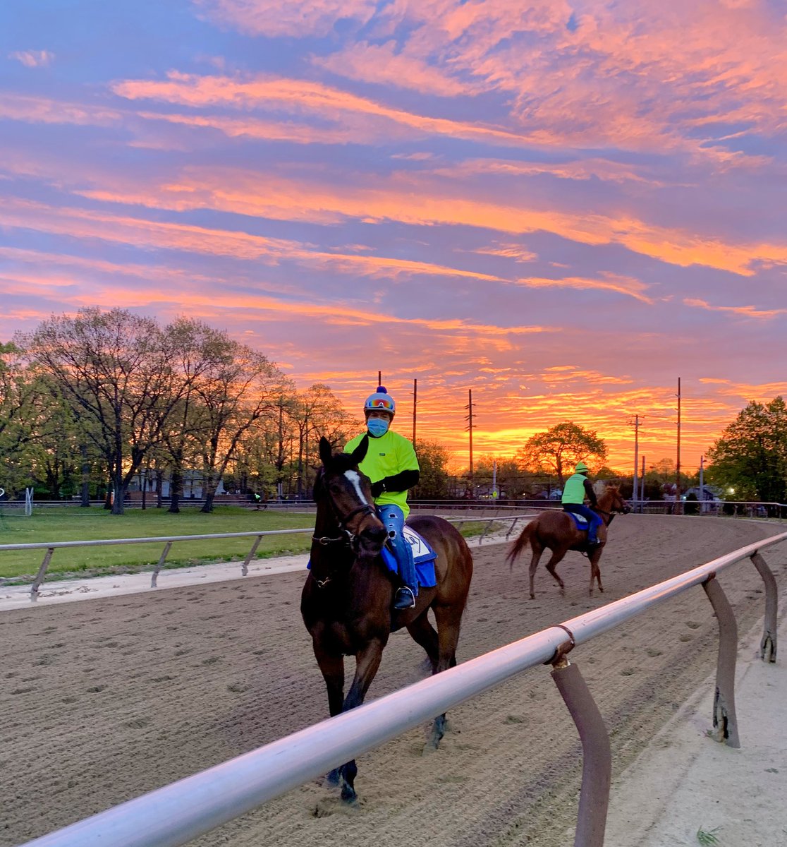 LindaRiceRacing's tweet photo. Magnolia’s Lady (Freud), a half-sister to our MSW Split Time, and Oscar Gomez out for a spin under a beautiful sunrise this morning. https://t.co/2SLIwe9Y9A