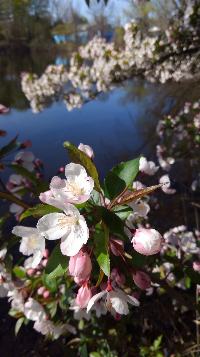 HEBergeron's tweet photo. It spring https://t.co/lr0R1YU3MK