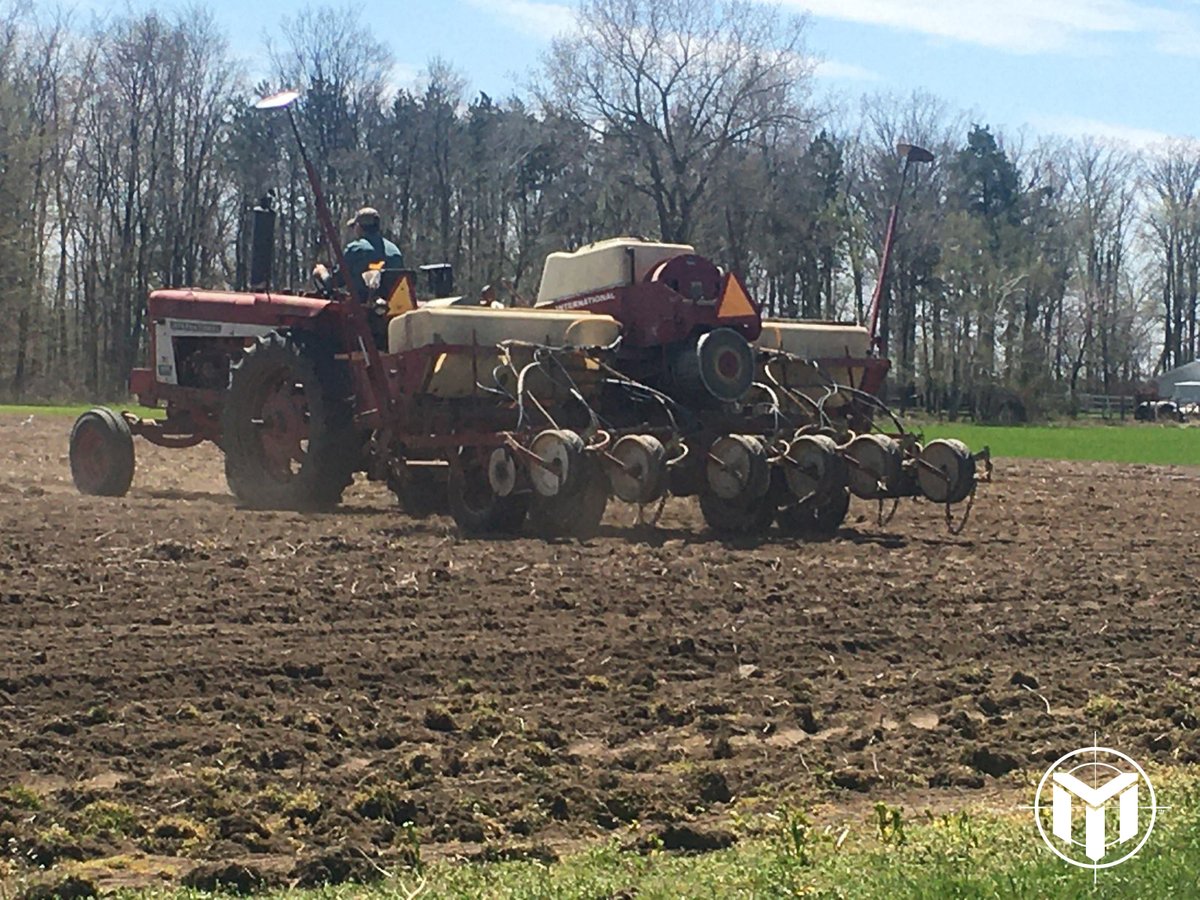 Mission Seed Solutions tweet media