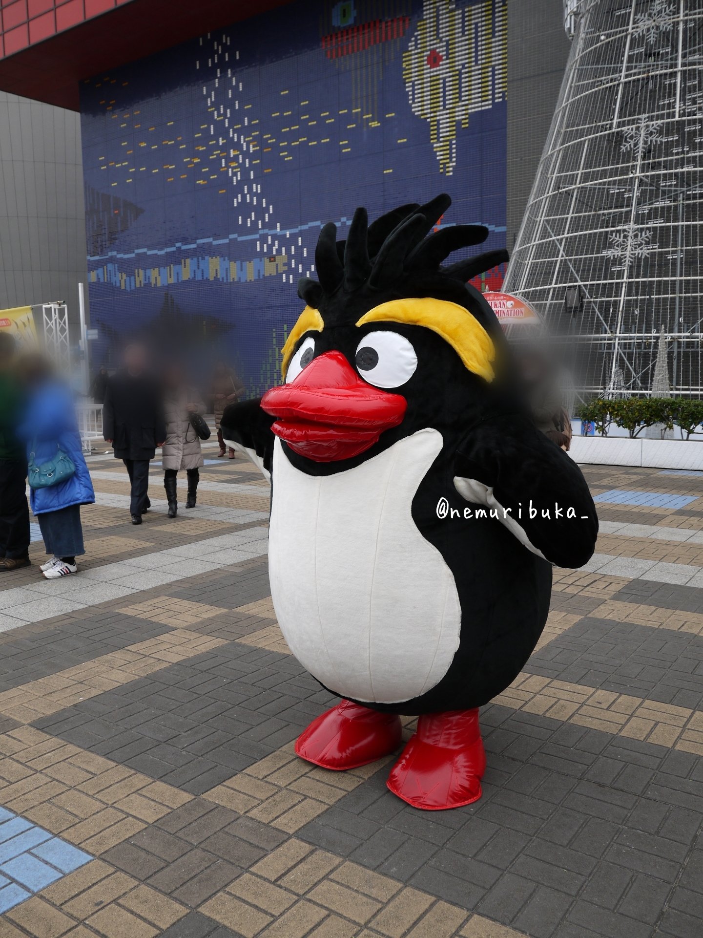 100 品質 Doub ペンギン イワトビペンギン 海遊館 テレカ Lacistitis Es