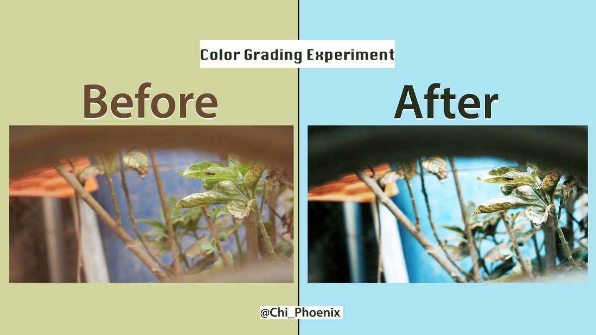 Chi_Phoenix's tweet image. &quot;I can do all things through Christ which strengtheneth me.&quot;
Philippians 4:13 [King James Version (KJV)]
#KeepMakingProgress