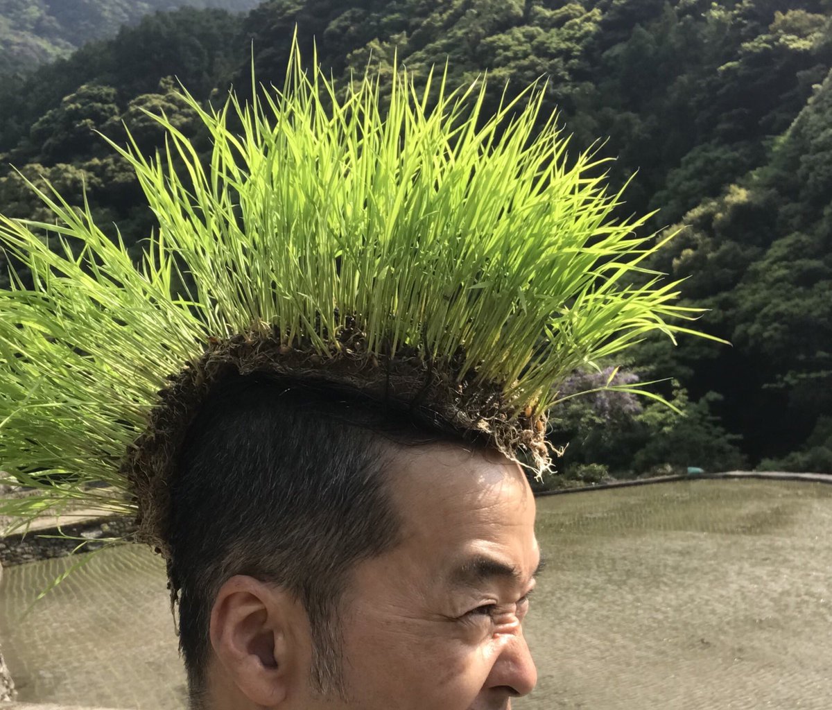 Ketchcomedy's tweet photo. 赤モヒカンも黒モヒカンもやめた。やっぱり緑モヒカンで生きていく！！

#田植え https://t.co/Kvf468vty4
